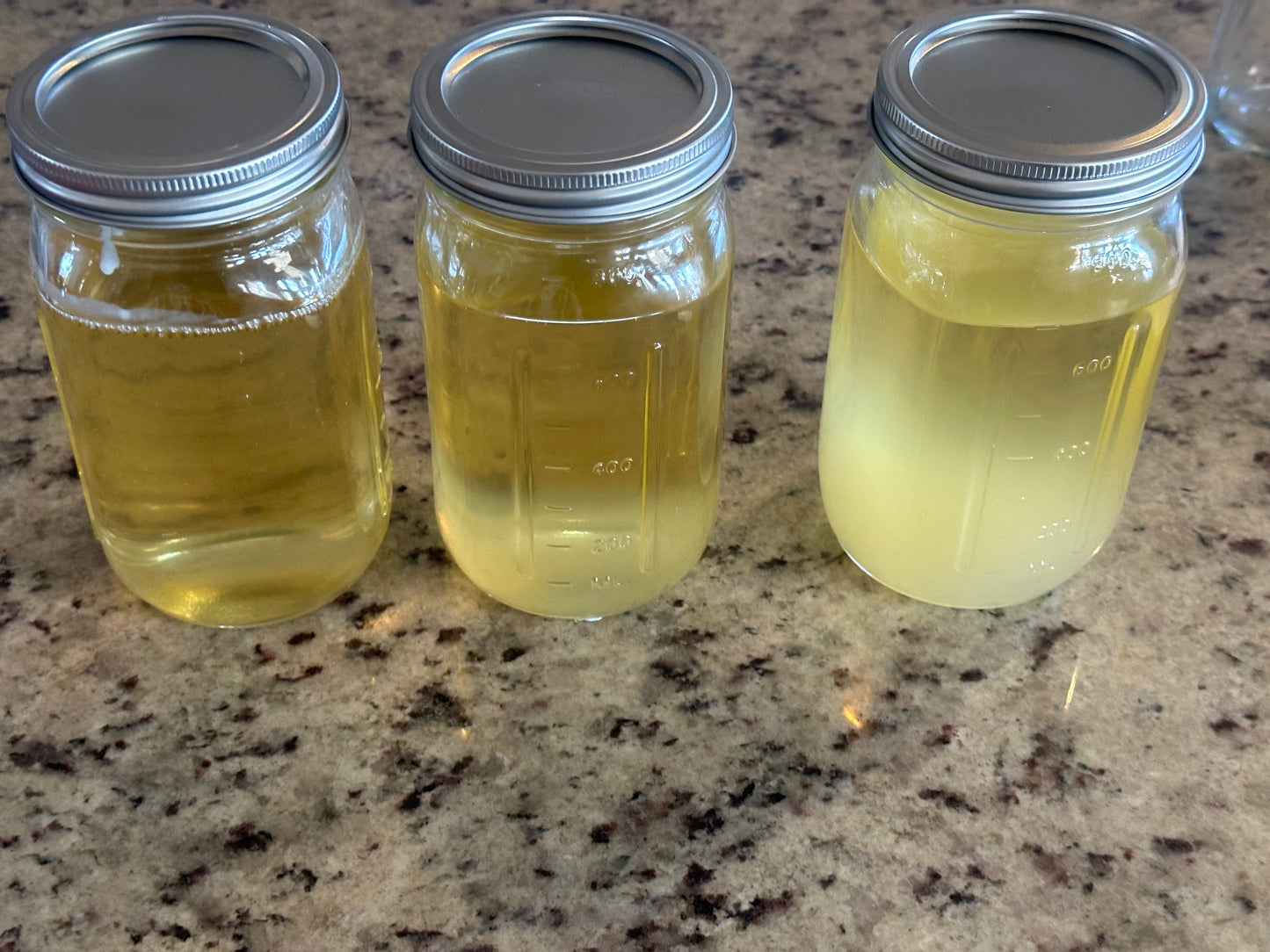 Premium Wagyu Beef Tallow