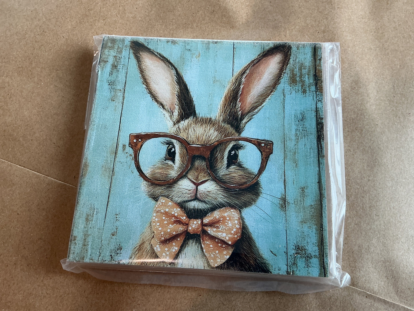 Bunny in Red Glasses
