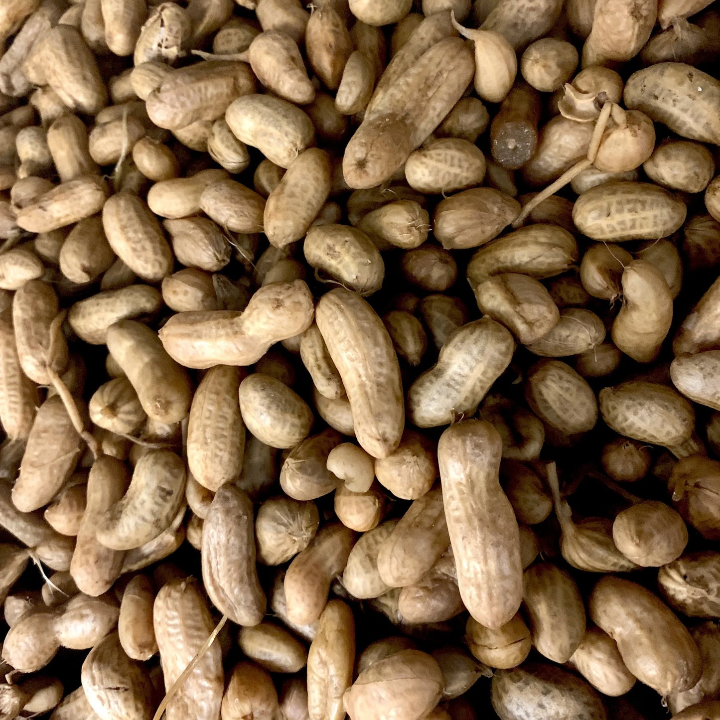 Boiled Peanuts Valencia’s 25 oz Bag