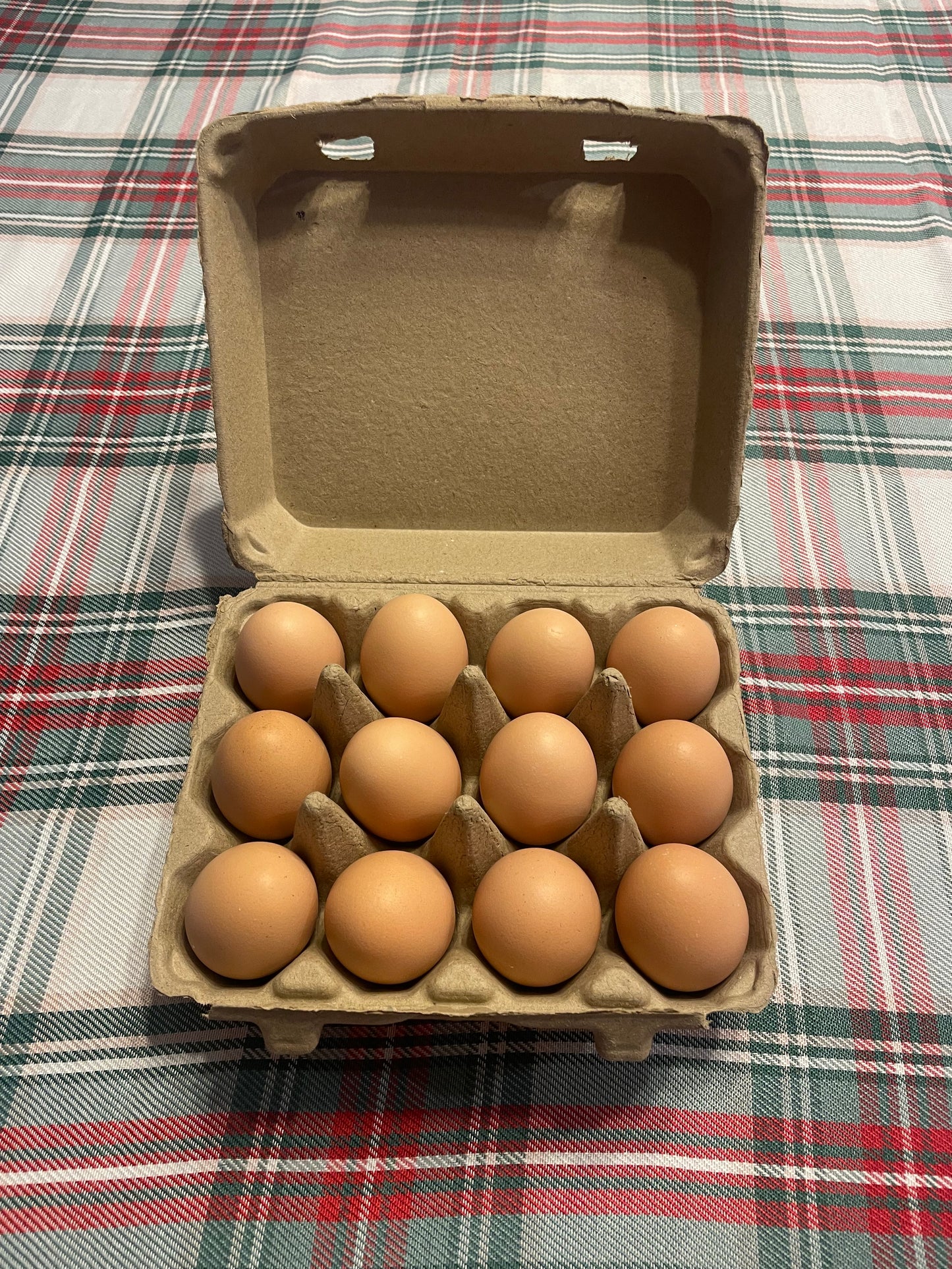 Dozen Brown Eggs