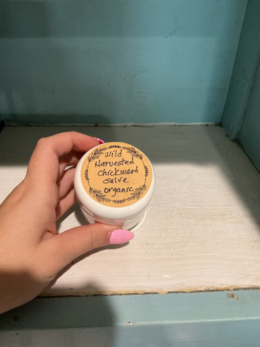 Wild Harvested Chickweed salve organic